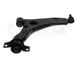 Braccio oscill/sosp/anter/infer/cpl/dx Ford: Focus (DFW, DNW, DAW) 98>04